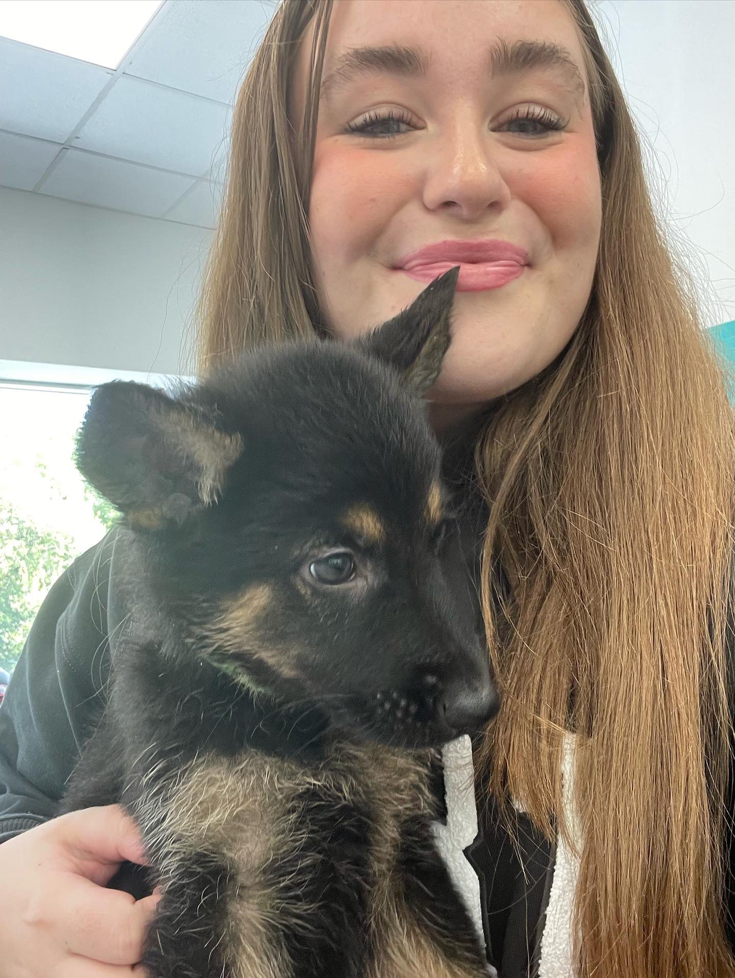 German Shepard Classes (Chester)