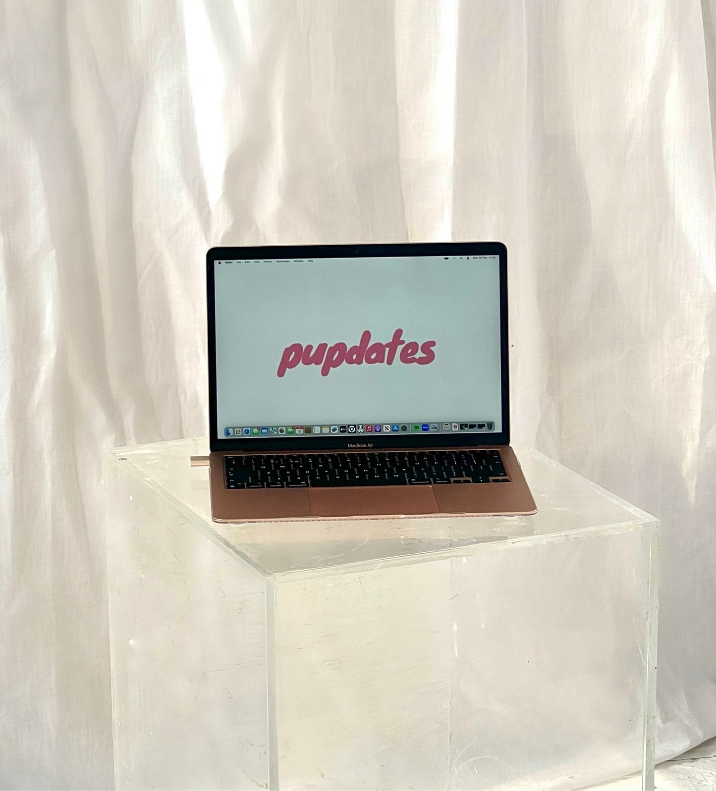 Chihuahua Yoga Classes (Glasgow)