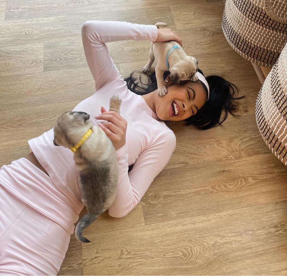 Pug Yoga Classes (Glasgow)