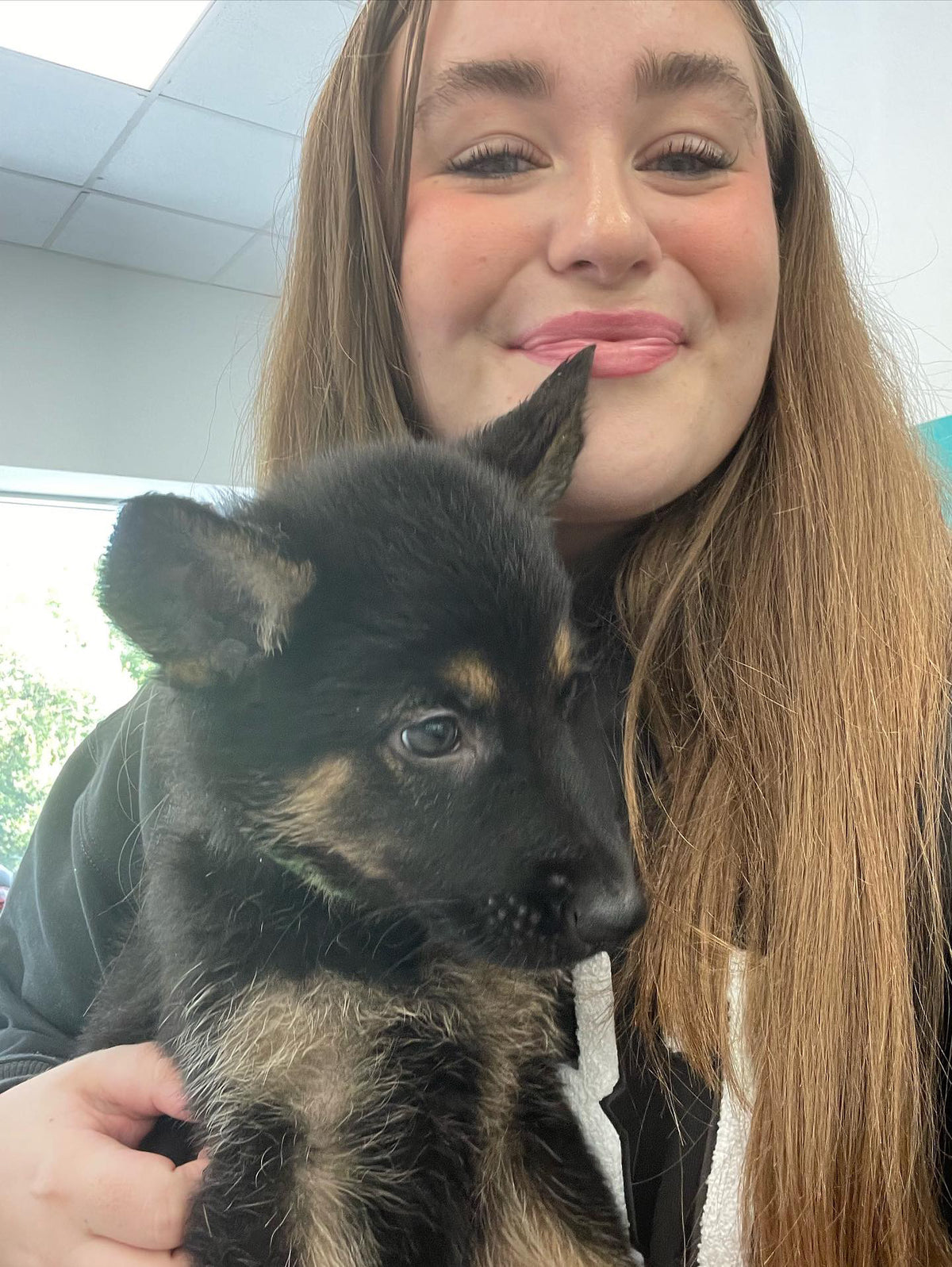 German Shepard Classes (Chester)