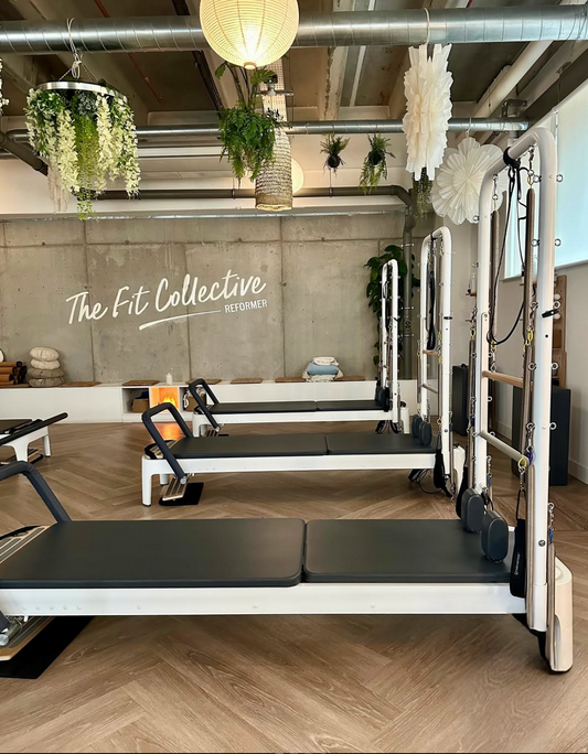 Reformer Pilates Golden Retrievers Classes (Chester)