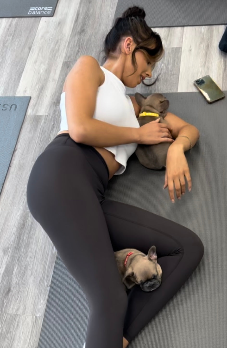 Frenchie Classes (Chester/Shrewsbury)